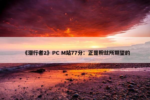 《潜行者2》PC M站77分：正是粉丝所期望的