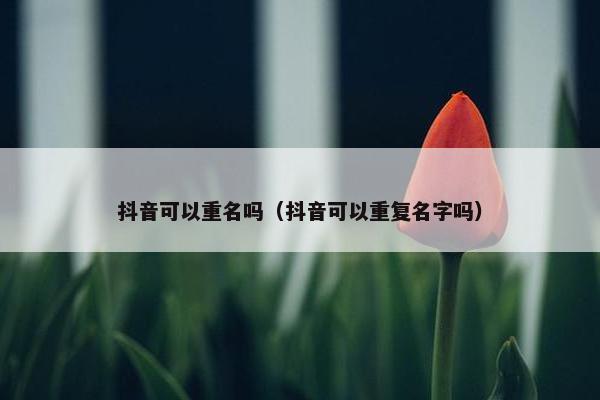 抖音可以重名吗（抖音可以重复名字吗）