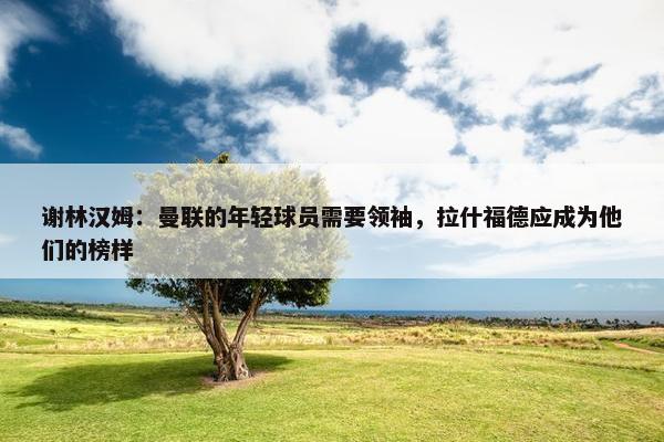 谢林汉姆：曼联的年轻球员需要领袖，拉什福德应成为他们的榜样