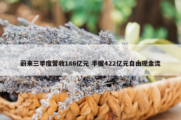 蔚来三季度营收186亿元 手握422亿元自由现金流