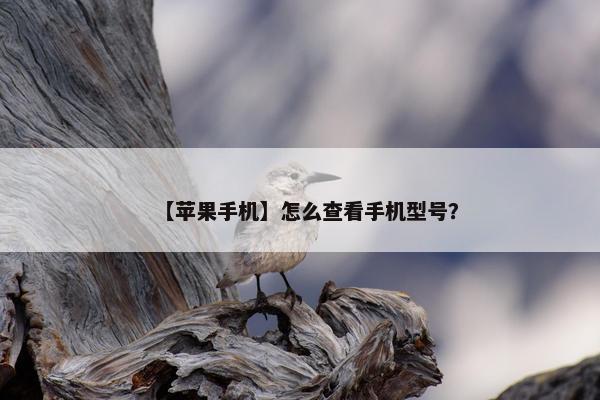 【苹果手机】怎么查看手机型号？