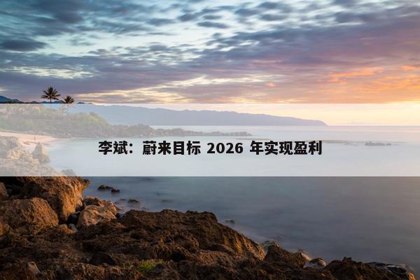 李斌：蔚来目标 2026 年实现盈利