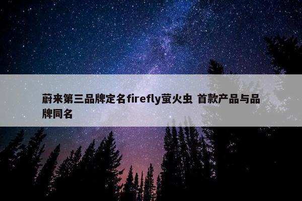 蔚来第三品牌定名firefly萤火虫 首款产品与品牌同名