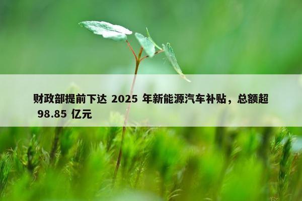 财政部提前下达 2025 年新能源汽车补贴，总额超 98.85 亿元