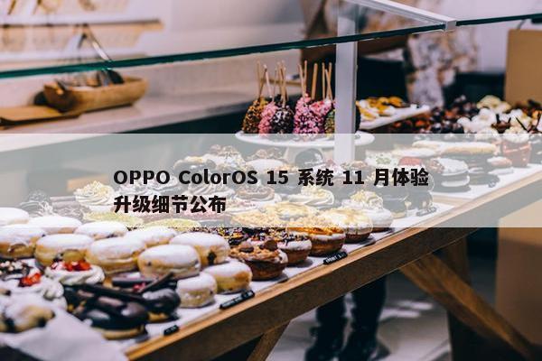 OPPO ColorOS 15 系统 11 月体验升级细节公布