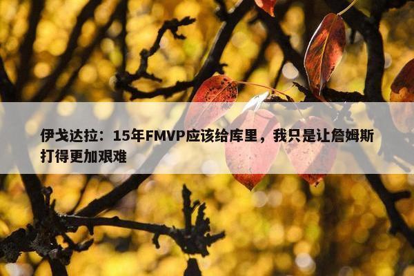 伊戈达拉：15年FMVP应该给库里，我只是让詹姆斯打得更加艰难