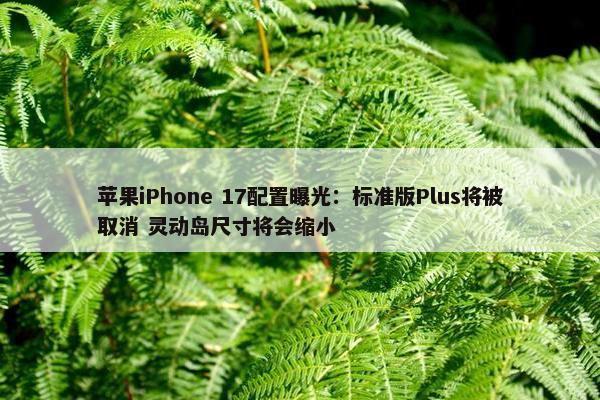 苹果iPhone 17配置曝光：标准版Plus将被取消 灵动岛尺寸将会缩小