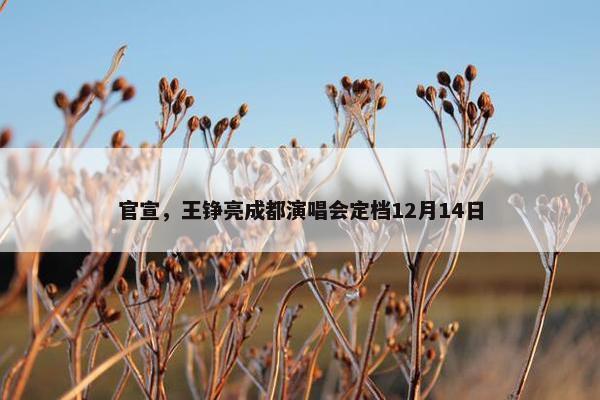 官宣，王铮亮成都演唱会定档12月14日