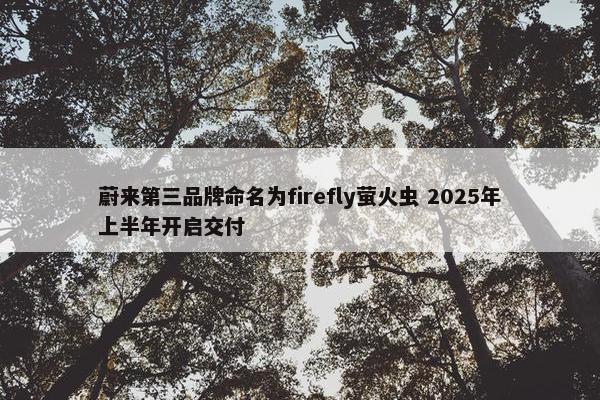 蔚来第三品牌命名为firefly萤火虫 2025年上半年开启交付