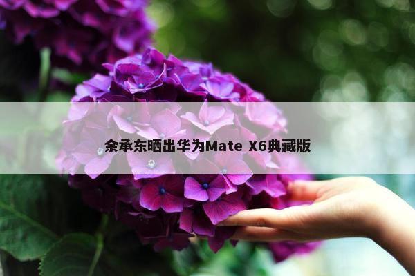 余承东晒出华为Mate X6典藏版