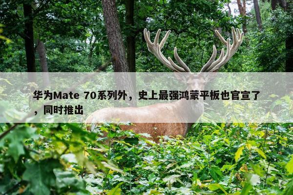 华为Mate 70系列外，史上最强鸿蒙平板也官宣了，同时推出