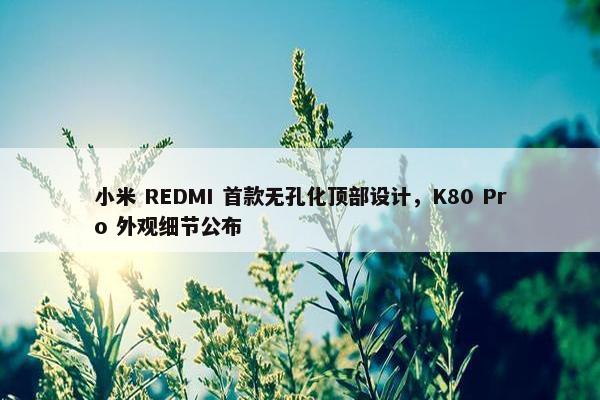 小米 REDMI 首款无孔化顶部设计，K80 Pro 外观细节公布