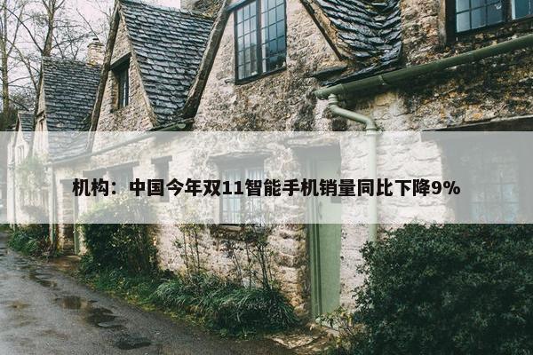 机构：中国今年双11智能手机销量同比下降9%