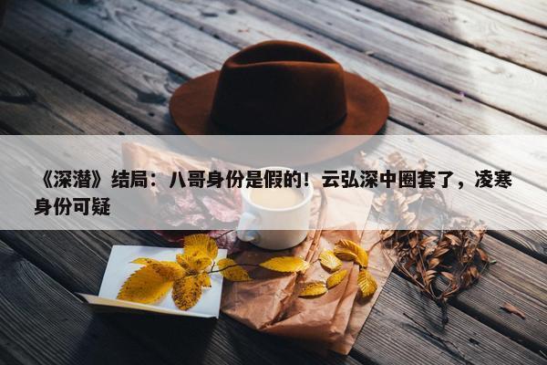 《深潜》结局：八哥身份是假的！云弘深中圈套了，凌寒身份可疑