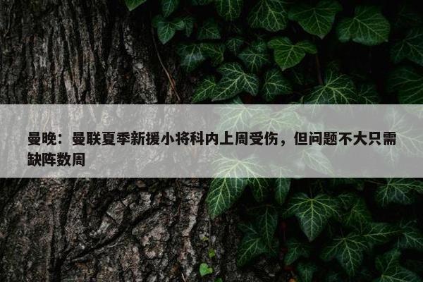 曼晚：曼联夏季新援小将科内上周受伤，但问题不大只需缺阵数周