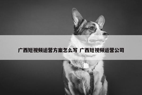 广西短视频运营方案怎么写 广西短视频运营公司