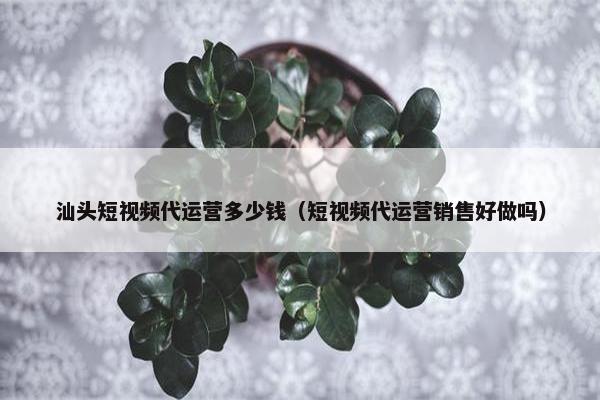 汕头短视频代运营多少钱（短视频代运营销售好做吗）