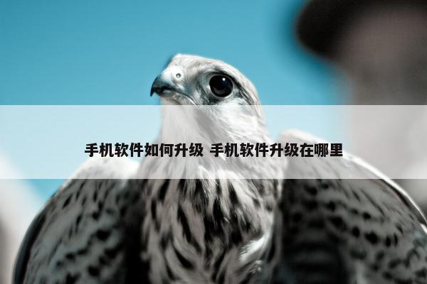 手机软件如何升级 手机软件升级在哪里