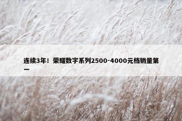 连续3年！荣耀数字系列2500-4000元档销量第一