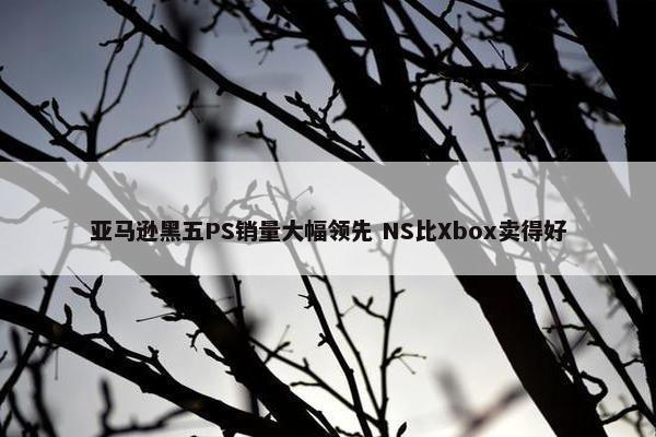 亚马逊黑五PS销量大幅领先 NS比Xbox卖得好