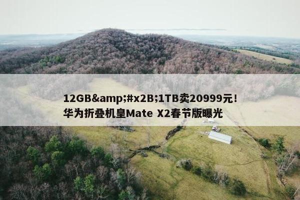 12GB&#x2B;1TB卖20999元！华为折叠机皇Mate X2春节版曝光