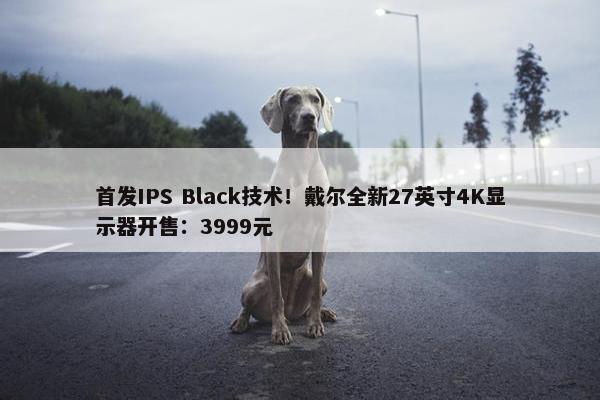 首发IPS Black技术！戴尔全新27英寸4K显示器开售：3999元