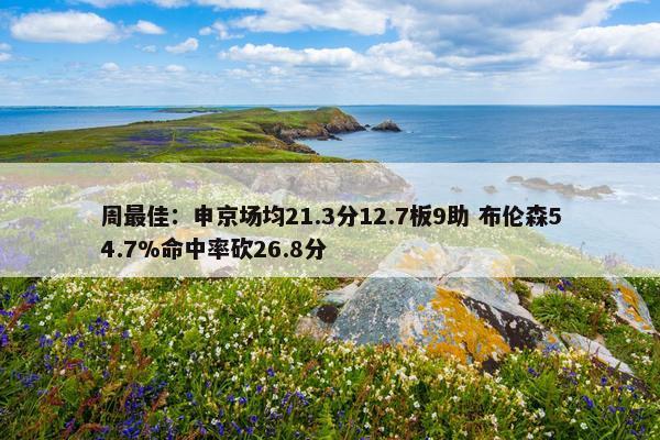 周最佳：申京场均21.3分12.7板9助 布伦森54.7%命中率砍26.8分