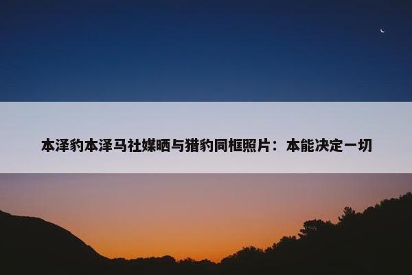 本泽豹本泽马社媒晒与猎豹同框照片：本能决定一切