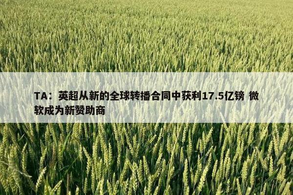 TA：英超从新的全球转播合同中获利17.5亿镑 微软成为新赞助商