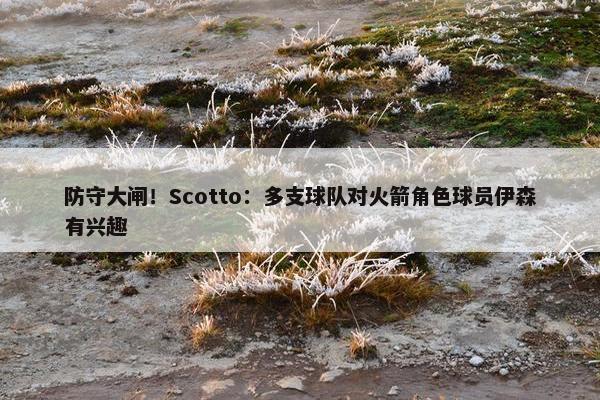 防守大闸！Scotto：多支球队对火箭角色球员伊森有兴趣