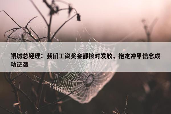 鲲城总经理：我们工资奖金都按时发放，抱定冲甲信念成功逆袭