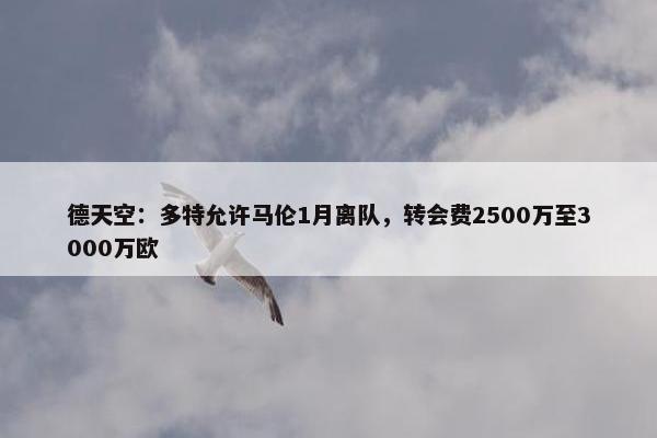 德天空：多特允许马伦1月离队，转会费2500万至3000万欧