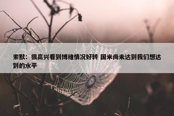 索默：很高兴看到博维情况好转 国米尚未达到我们想达到的水平