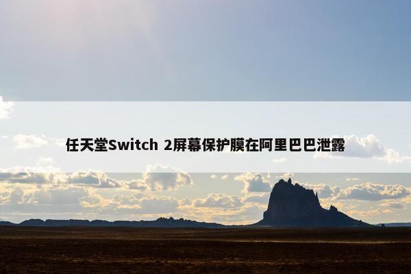 任天堂Switch 2屏幕保护膜在阿里巴巴泄露