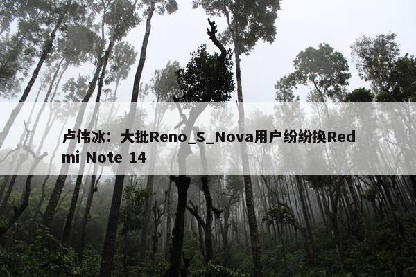 卢伟冰：大批Reno_S_Nova用户纷纷换Redmi Note 14