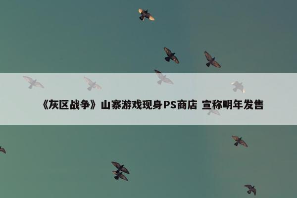 《灰区战争》山寨游戏现身PS商店 宣称明年发售