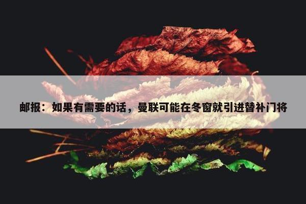 邮报：如果有需要的话，曼联可能在冬窗就引进替补门将