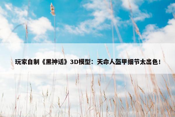 玩家自制《黑神话》3D模型：天命人盔甲细节太出色！