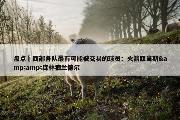 盘点 西部各队最有可能被交易的球员：火箭亚当斯&amp;森林狼兰德尔