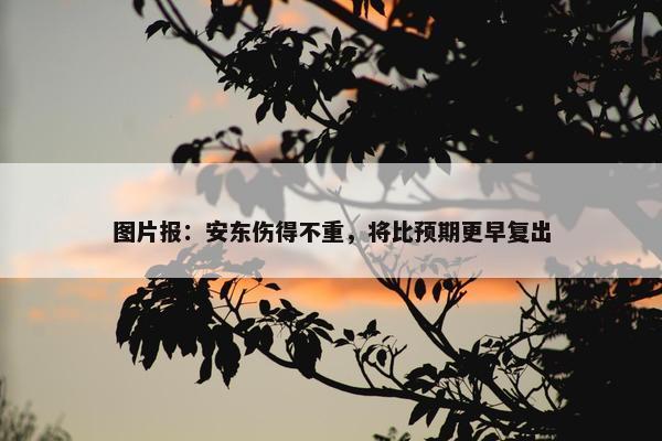 图片报：安东伤得不重，将比预期更早复出