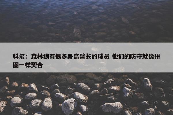 科尔：森林狼有很多身高臂长的球员 他们的防守就像拼图一样契合