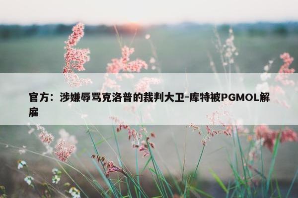 官方：涉嫌辱骂克洛普的裁判大卫-库特被PGMOL解雇