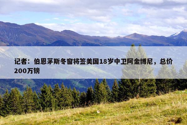 记者：伯恩茅斯冬窗将签美国18岁中卫阿金博尼，总价200万镑