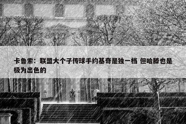 卡鲁索：联盟大个子传球手约基奇是独一档 但哈滕也是极为出色的