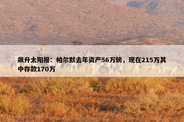 飙升太阳报：帕尔默去年资产56万镑，现在215万其中存款170万