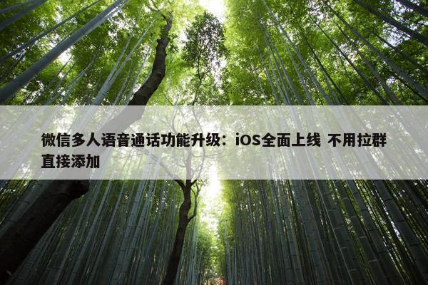 微信多人语音通话功能升级：iOS全面上线 不用拉群直接添加