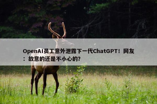 OpenAI员工意外泄露下一代ChatGPT！网友：故意的还是不小心的？