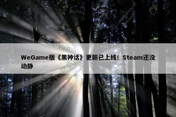 WeGame版《黑神话》更新已上线！Steam还没动静