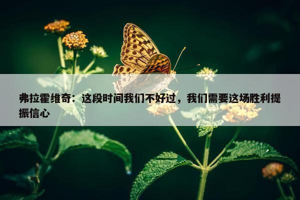 弗拉霍维奇：这段时间我们不好过，我们需要这场胜利提振信心