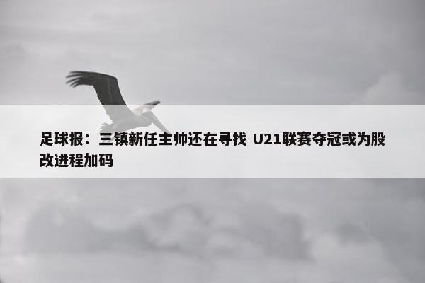 足球报：三镇新任主帅还在寻找 U21联赛夺冠或为股改进程加码